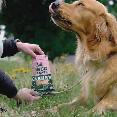 Beco Cashew Dog Treats