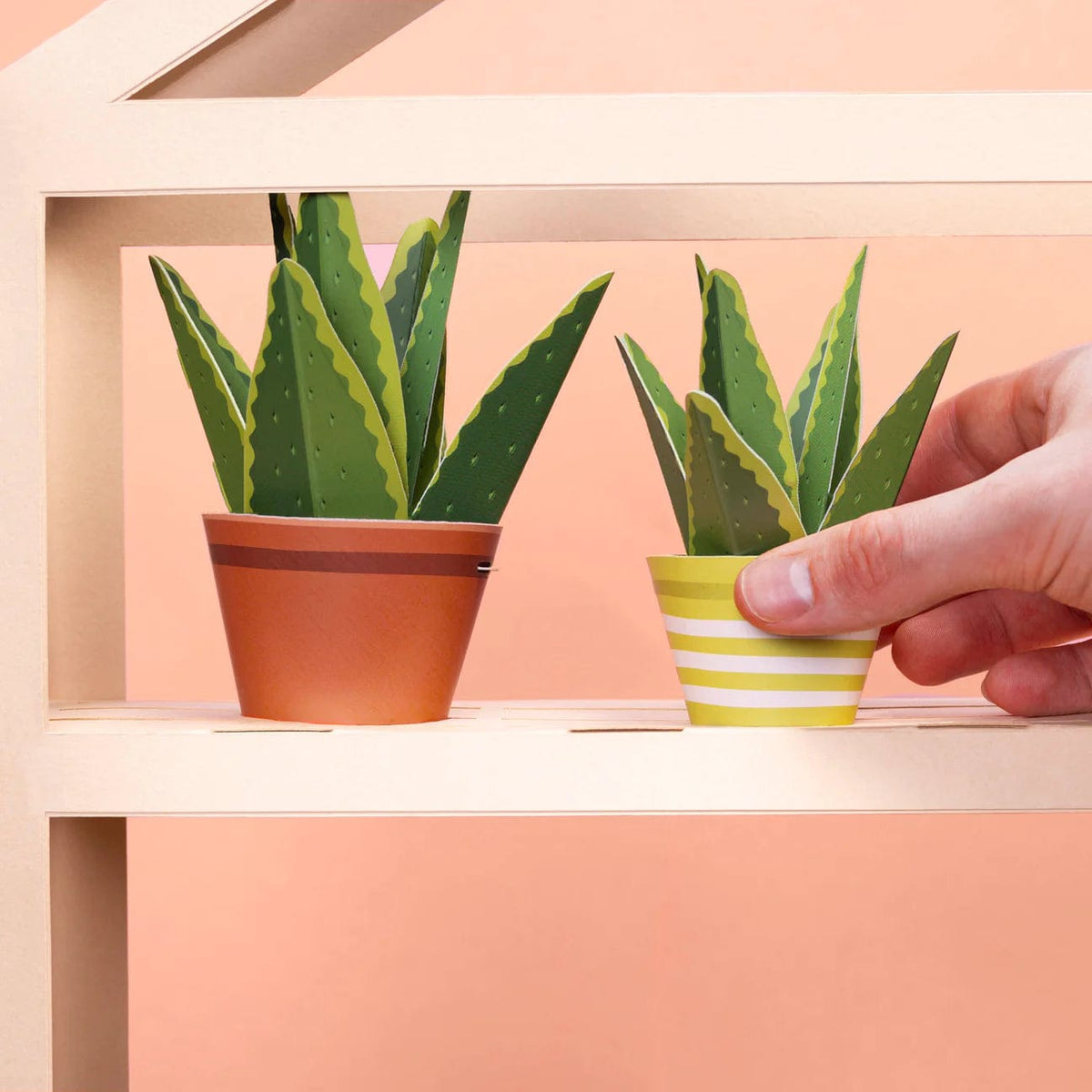 Clockwork Soldier Make Your Own Healing Aloe Vera Paper Plant Kit