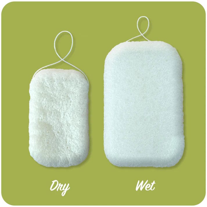 Comparison of dry and wet Konjac sponges, showcasing their soft texture for deep cleansing and skin nourishment.