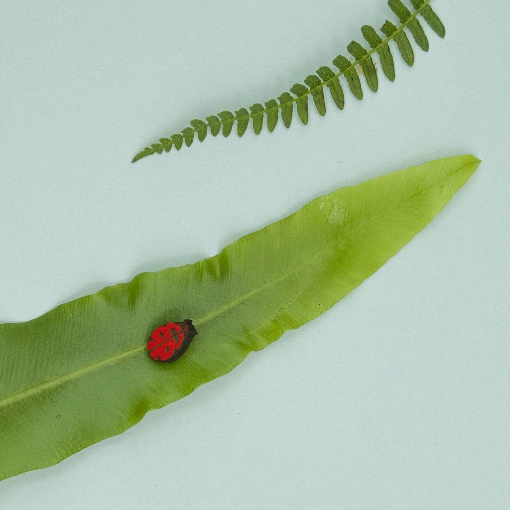 Materia Rica Ladybird Stud Earrings