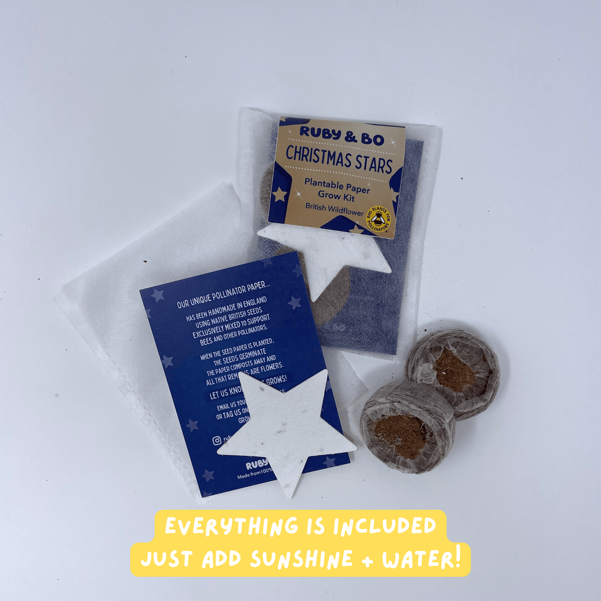 Ruby & Bo Christmas Star Plantable Paper Grow Kit