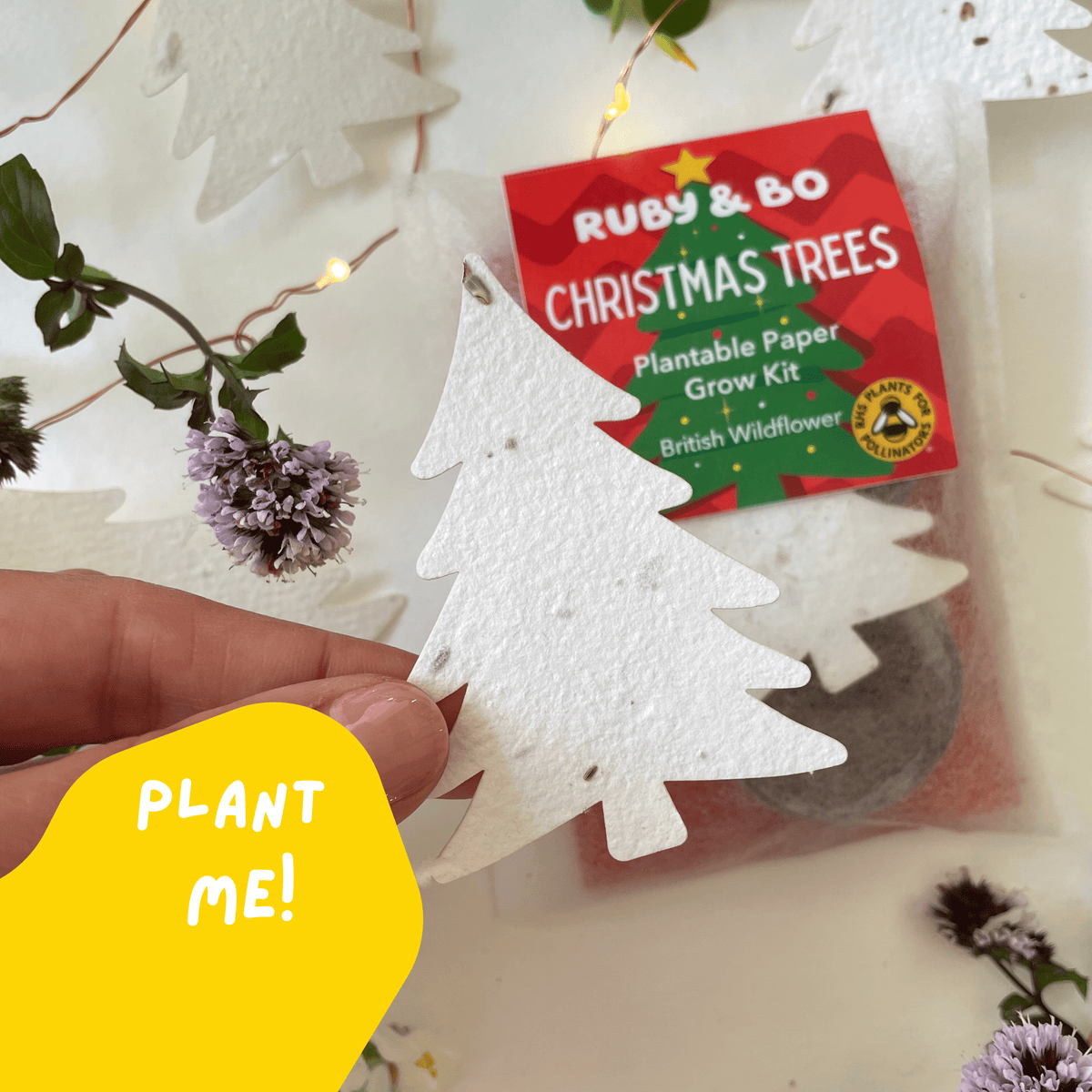 Ruby & Bo Christmas Tree Plantable Paper Grow Kit
