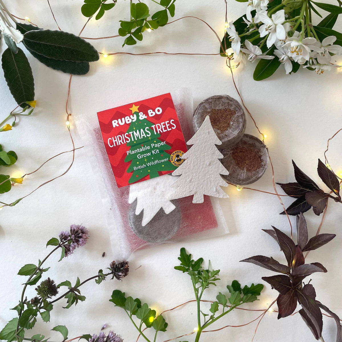 Ruby & Bo Christmas Tree Plantable Paper Grow Kit
