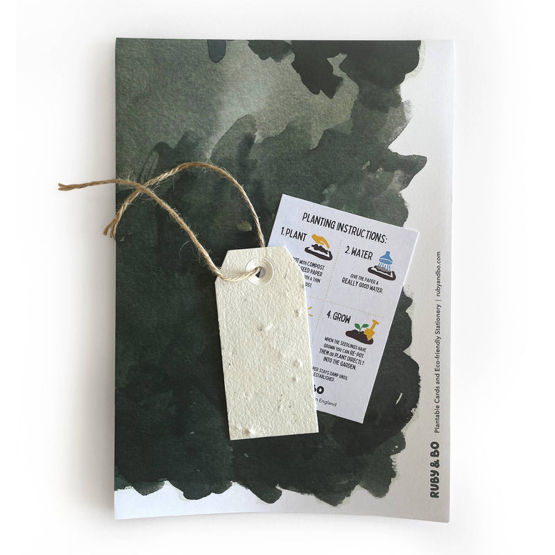 Ruby & Bo Winter Forest Recycled Wrapping Paper & Plantable Tag Set