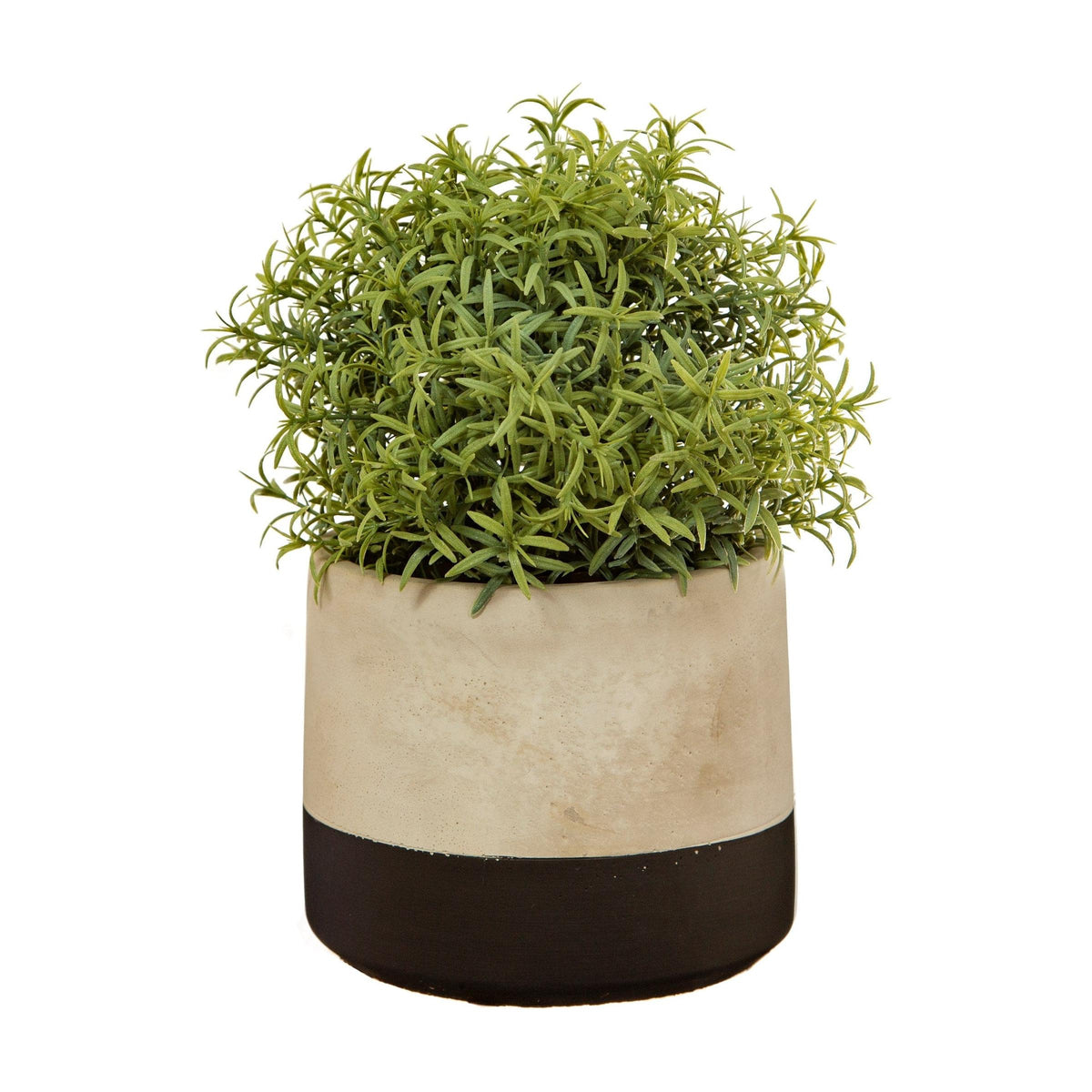 Sass & Belle Black Dip Cement Planter