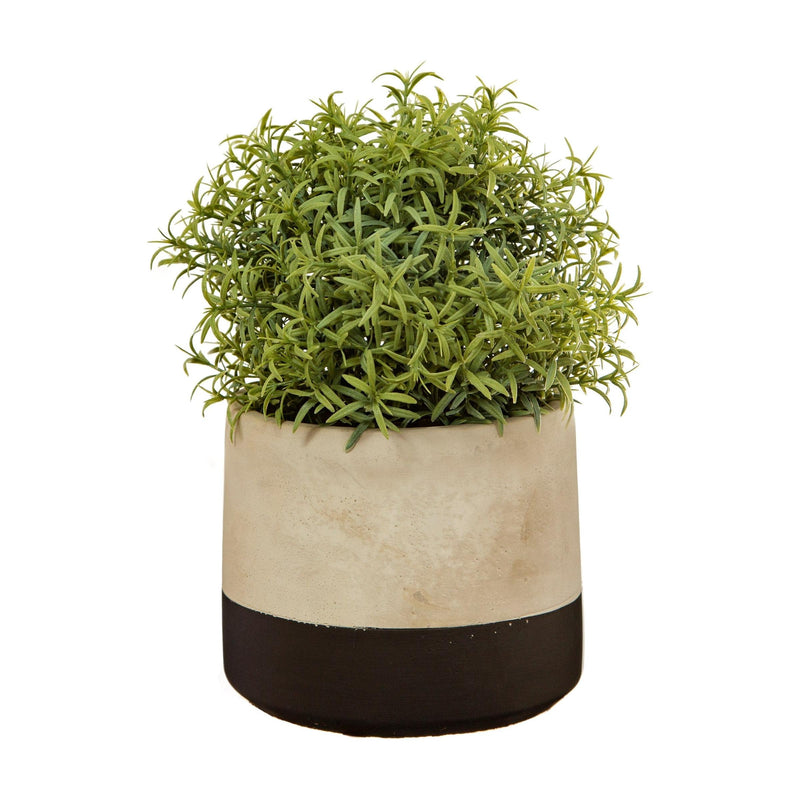 Sass & Belle Black Dip Cement Planter