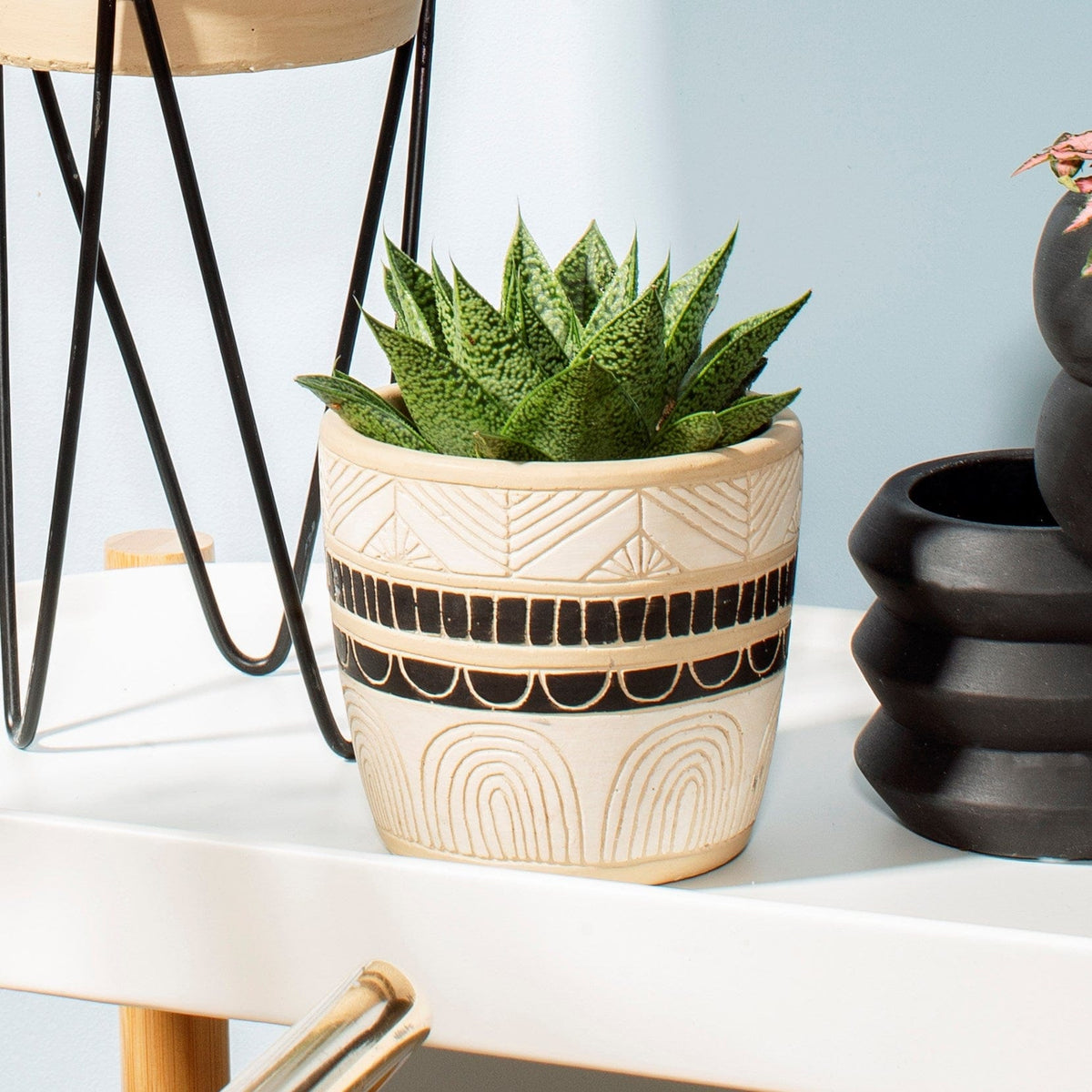 Sass & Belle Black & White Sgraffito Planter