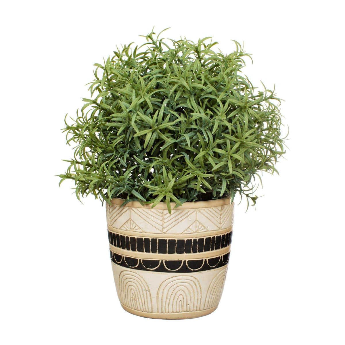 Sass & Belle Black & White Sgraffito Planter