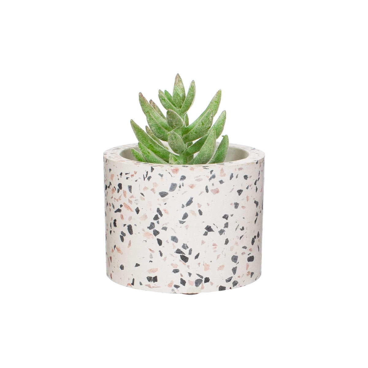 Sass & Belle Terrazzo Planter