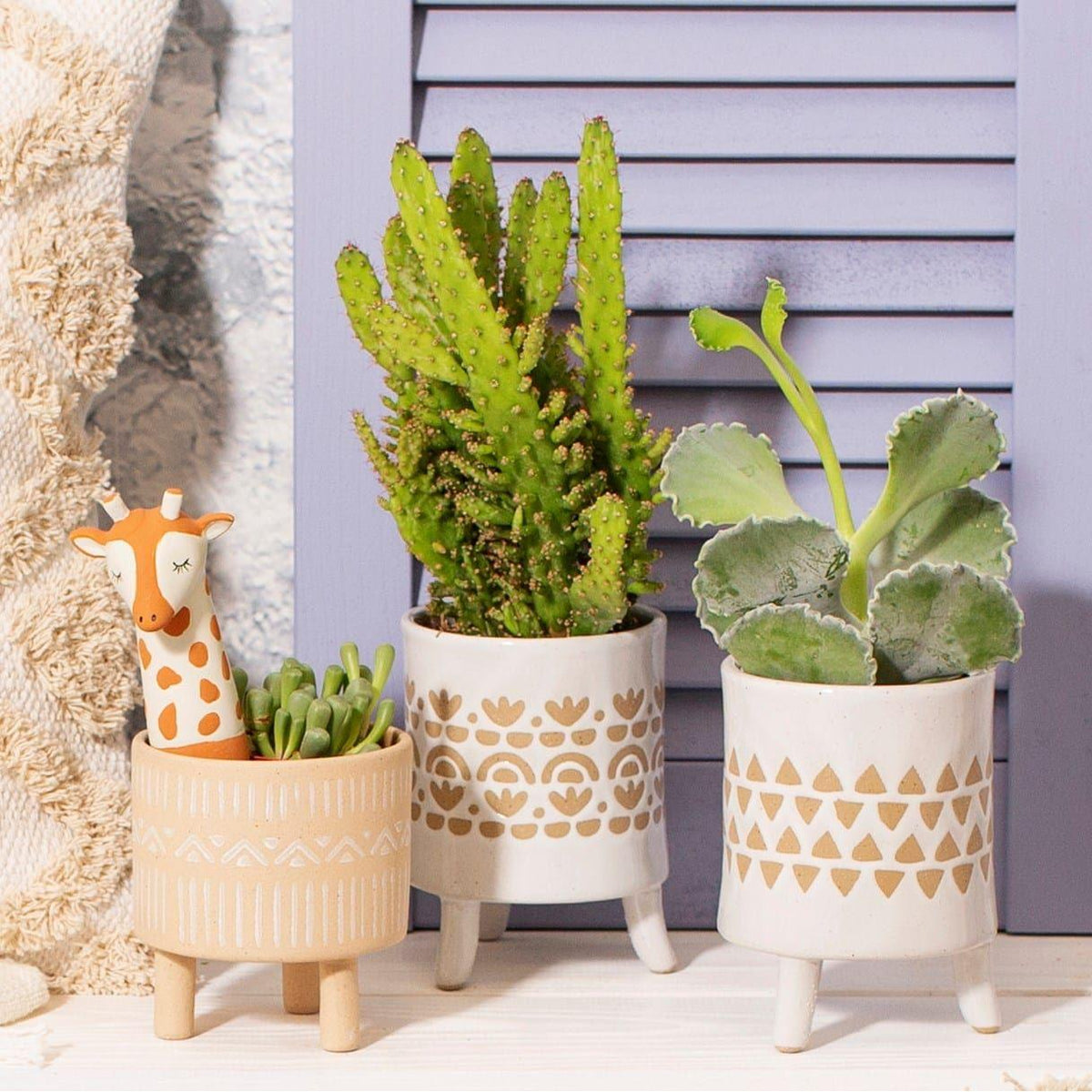 Sass & Belle White Leggy Planter