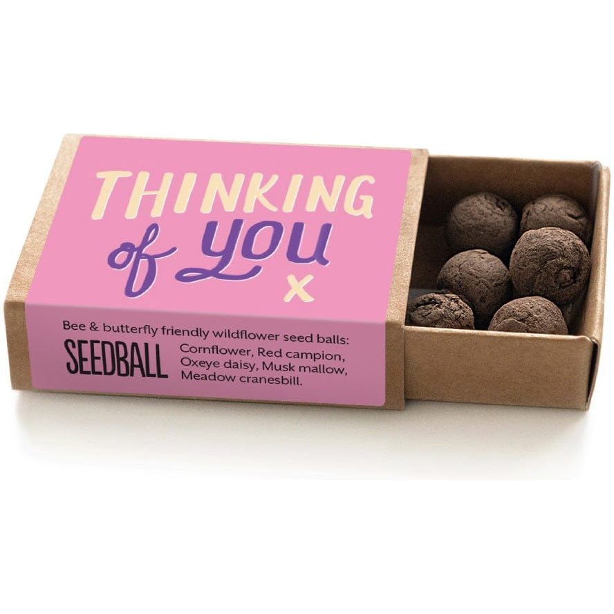 Seedball 'Thinking of You' Seedball Box