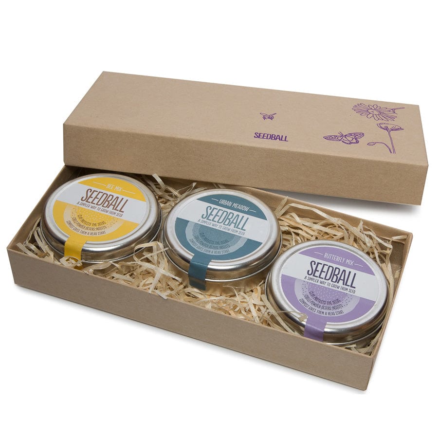 Seedball Wildflowers Gift Set