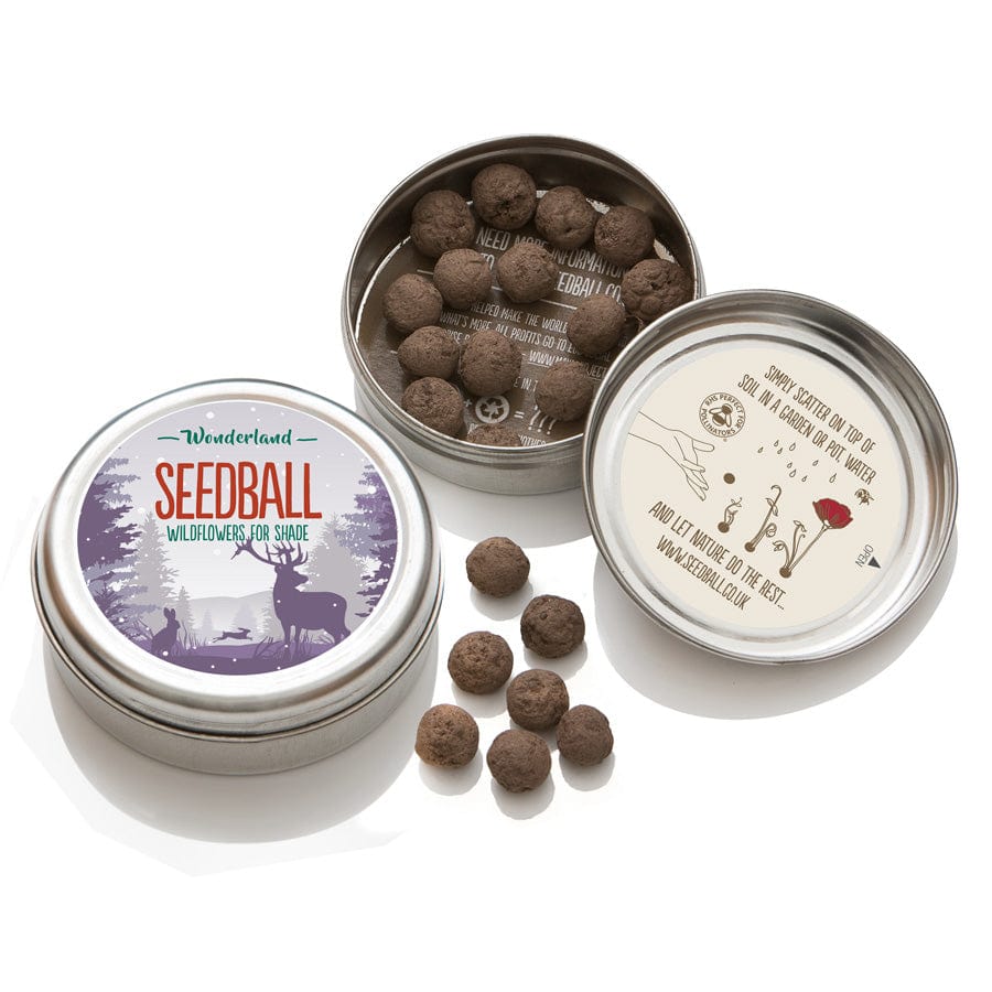 Seedball Christmas Wildflower Seed Tin (2 to choose from)