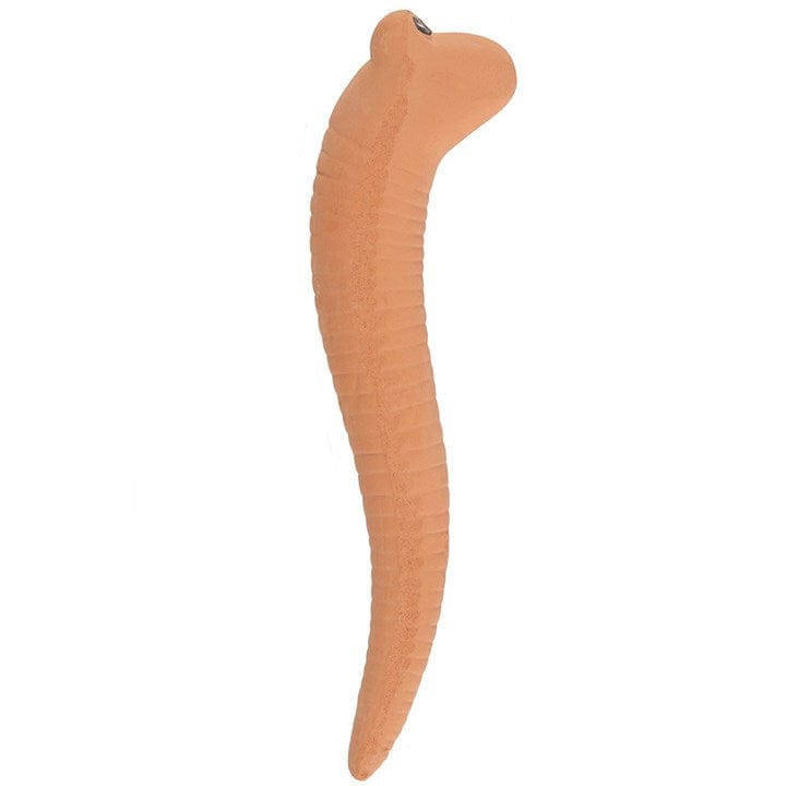 Something Different Willy The Worm