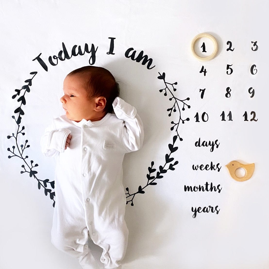 Sparks and Daughters Botanical Baby Milestone Blanket