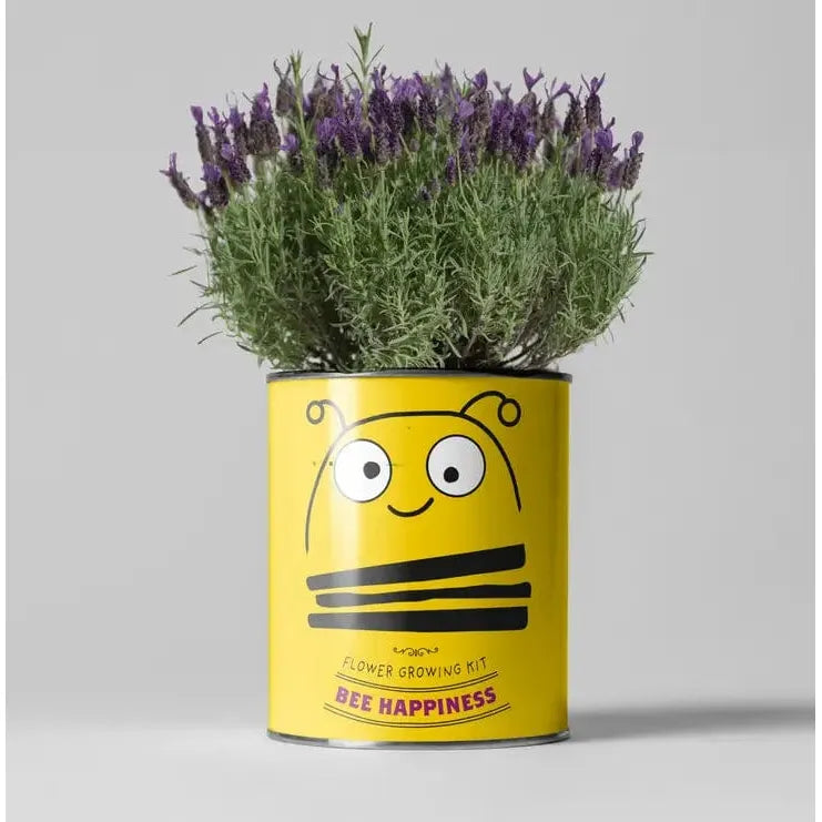 The Plant Gift Co. Big Bee Happiness Eco Plant Grow Kit