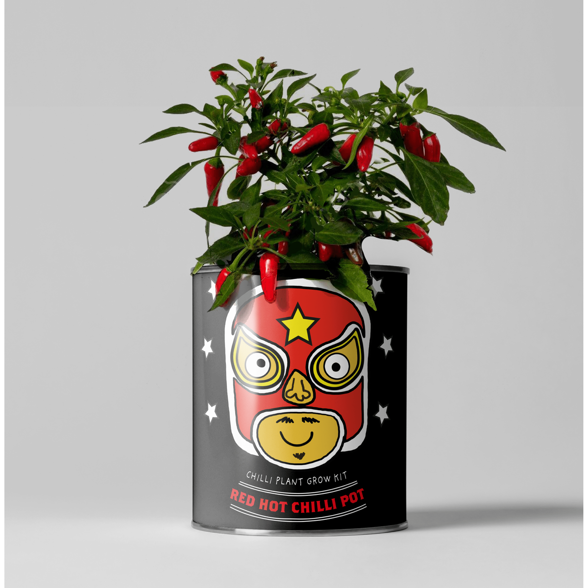 The Plant Gift Co. Red Hot Chilli Pot. Grow Your Own Plant Kit, Gardening Gift