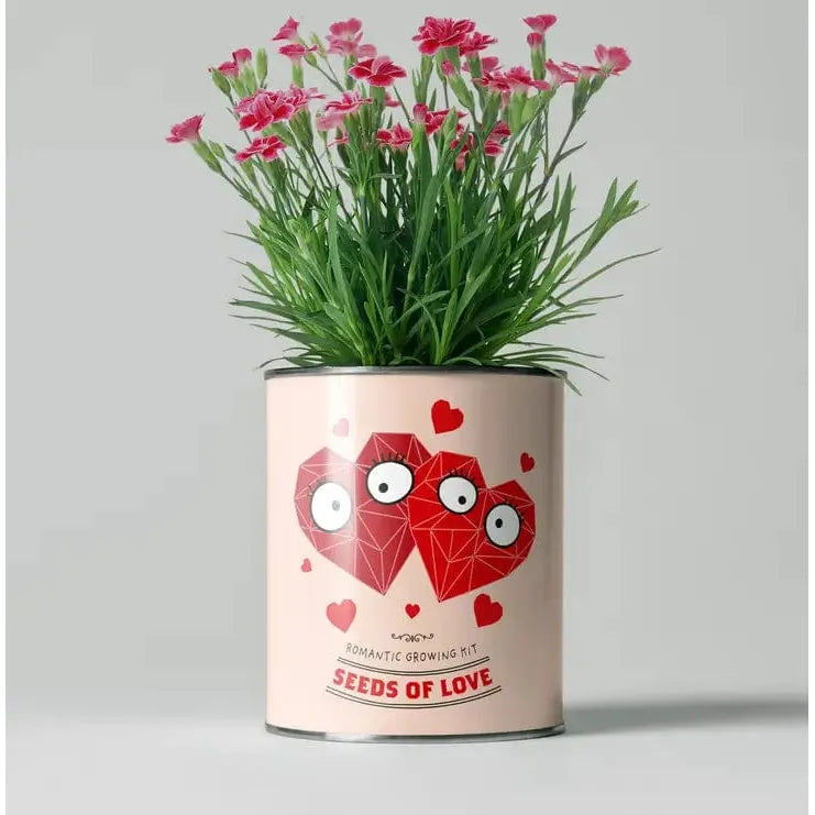 The Plant Gift Co. Seeds of Love Eco Grow Your Own Plant Kit