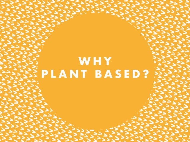 Why is our gift shop plant-based?