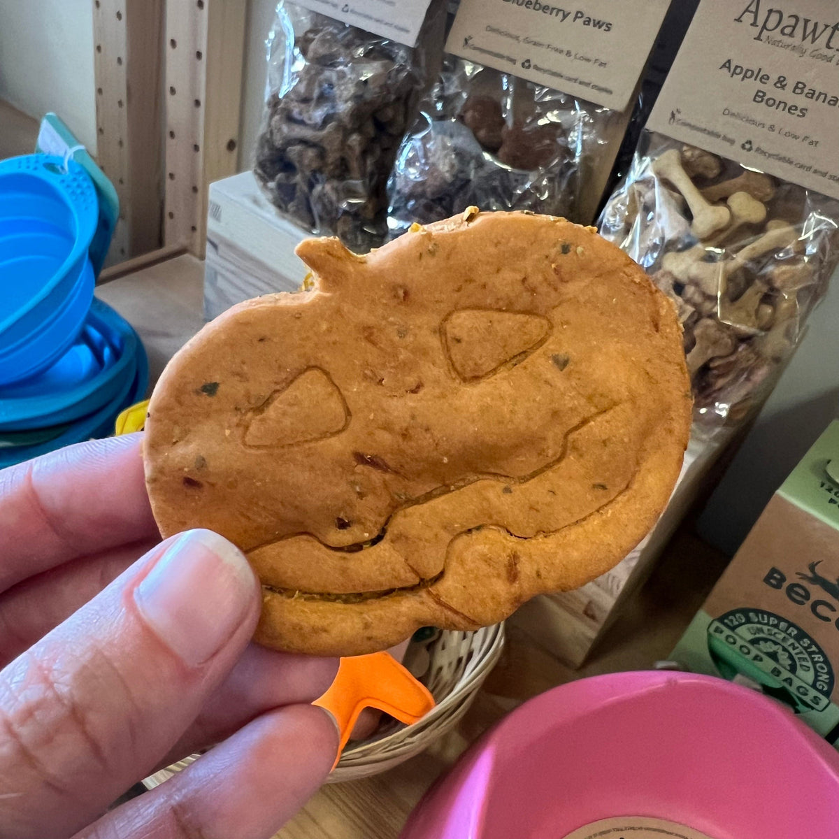 Apawtiser Butternut Squash Pumpkin Dog Biscuit
