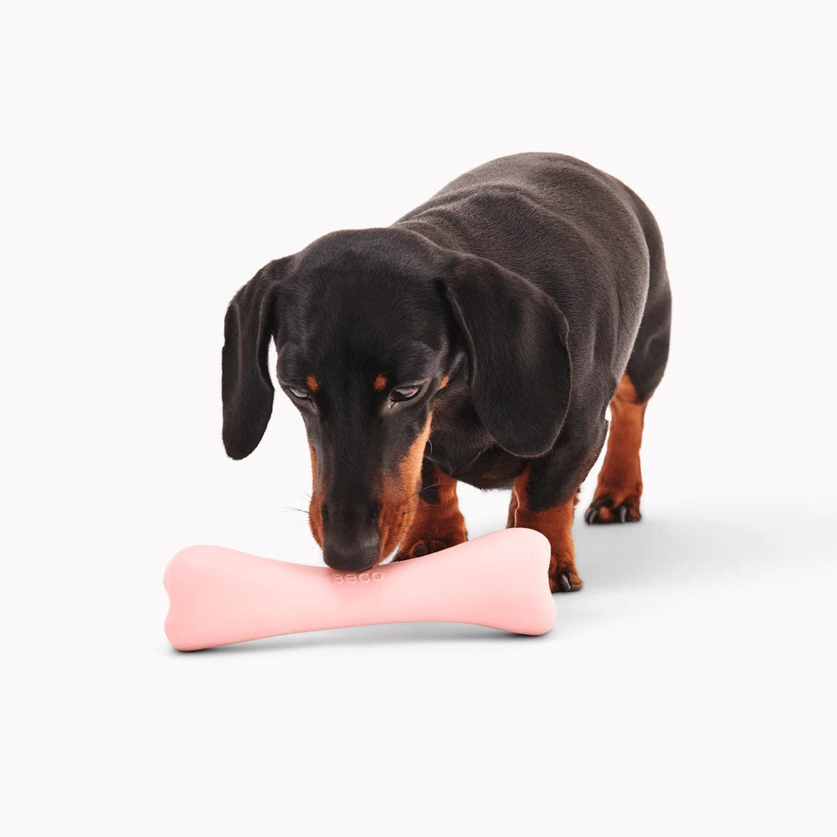 Beco Pink Natural Rubber Treat Bone