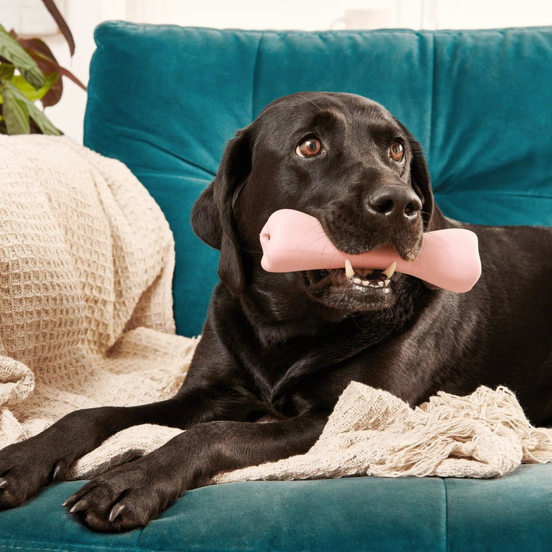 Beco Pink Natural Rubber Treat Bone