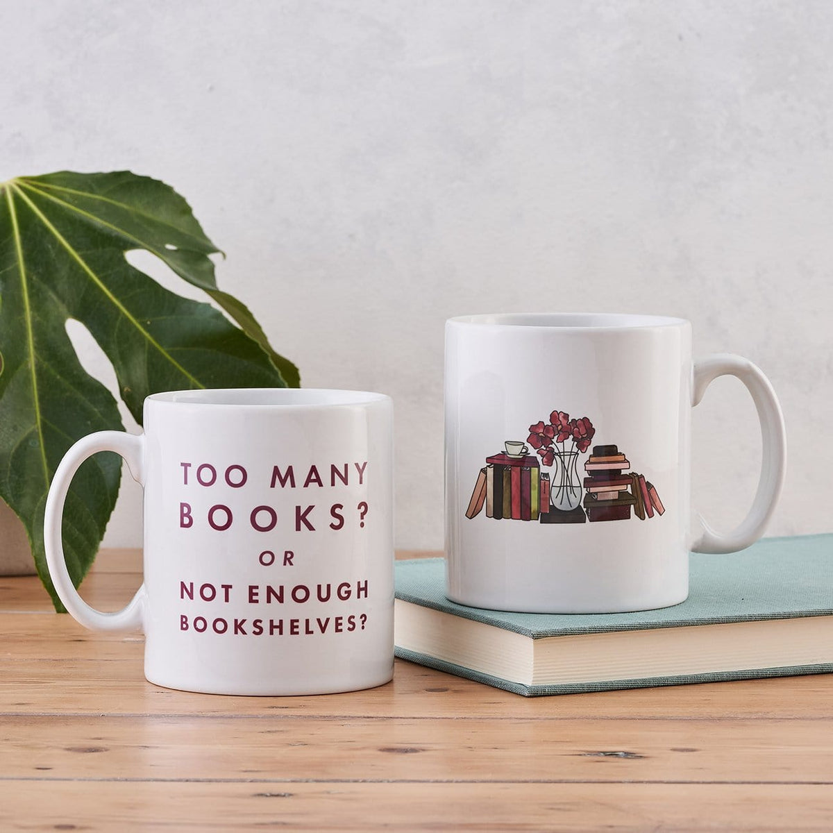 Bookishly Too Many Books Mug