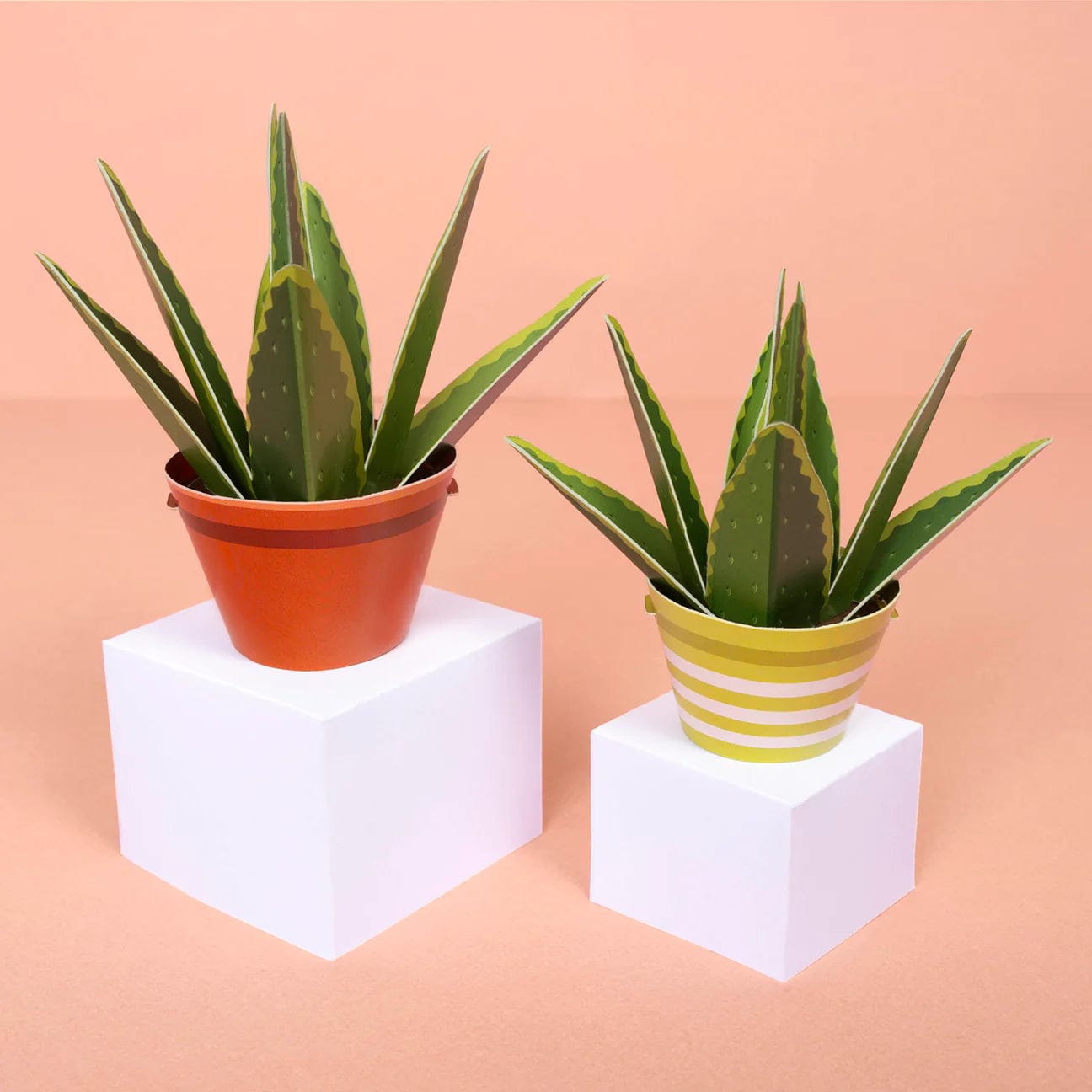 aloe vera plant kit DIY Healing Aloe Vera Paper Plant Kit