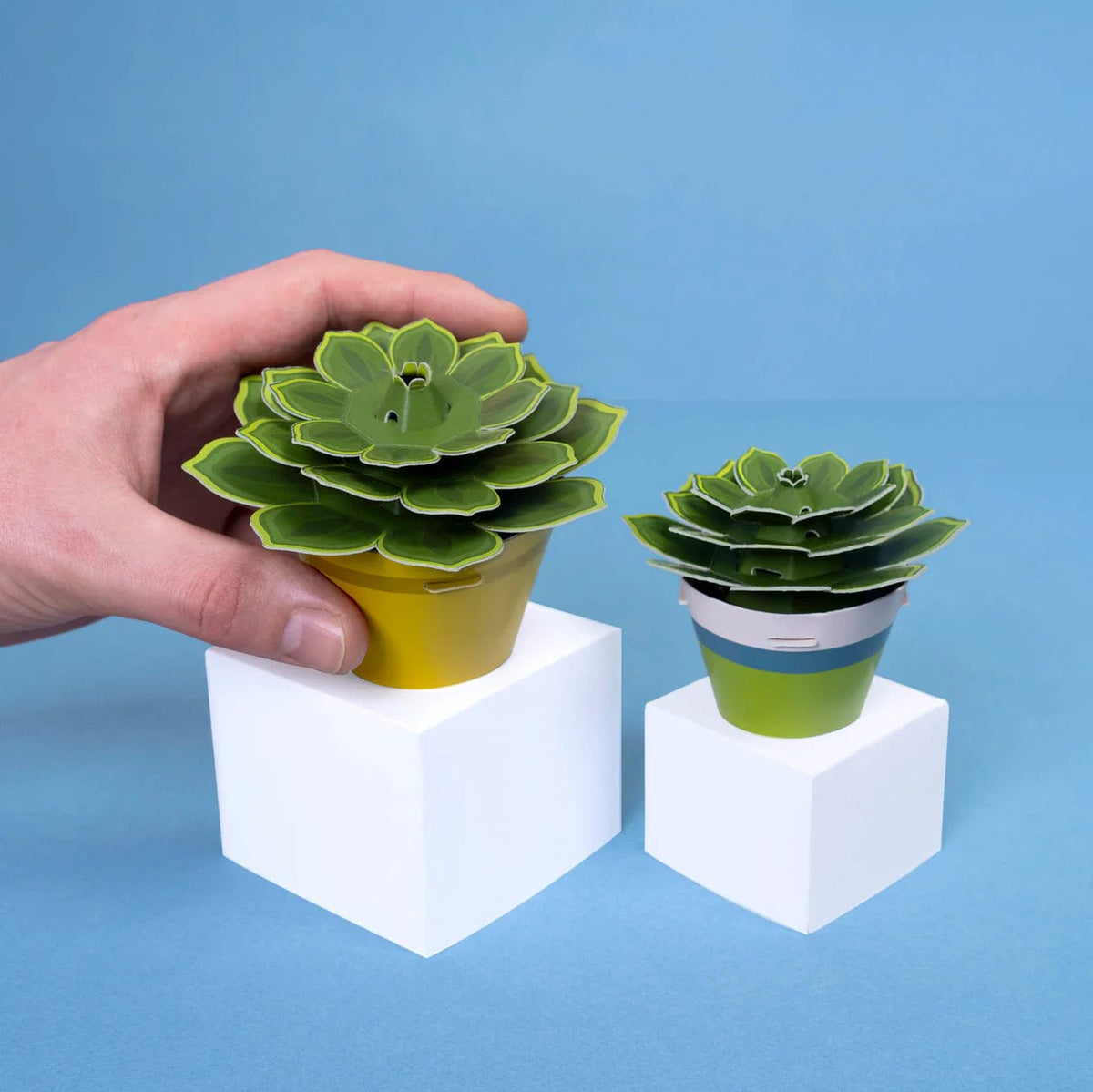 Clockwork Soldier Make Your Own Soothing Succulent Paper Plant Kit