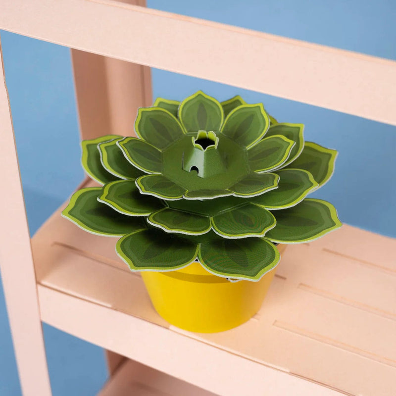 Clockwork Soldier Make Your Own Soothing Succulent Paper Plant Kit