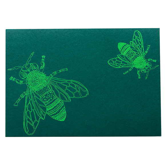East End Press Scarab Beetle Greetings Card