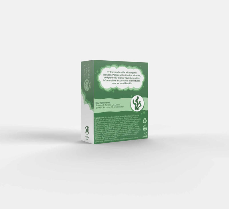 Ecoliving Soapy Suds Natural Seaweed Soap Bar