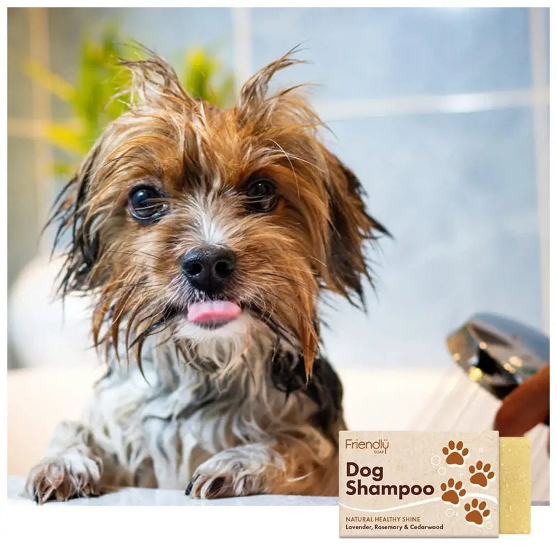 Friendly Soap Dog Shampoo