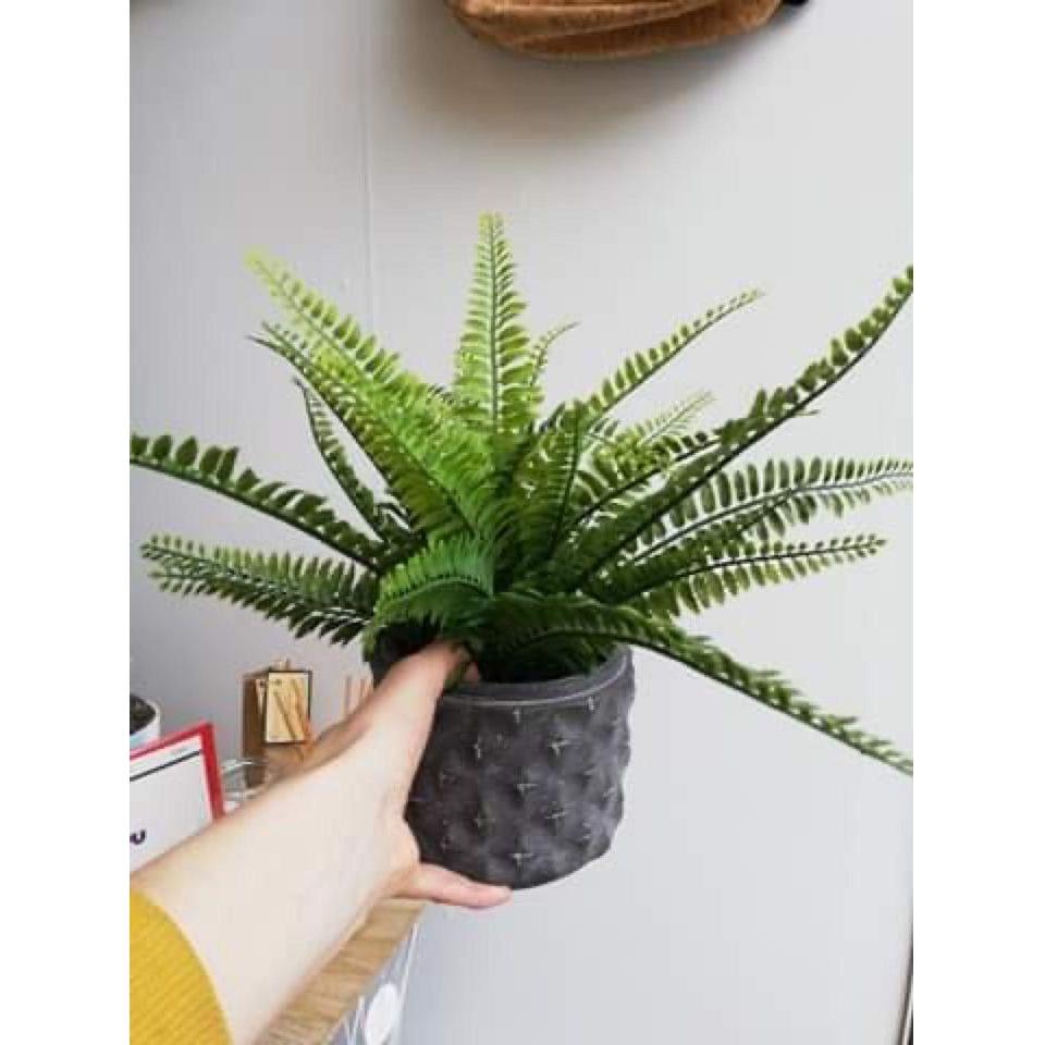 hellyeahshop Graphic Cylinder Planter (15cm)