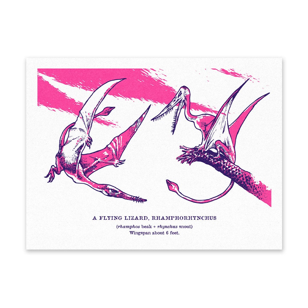 Ohh Deer Rhamphorhynchus Riso Print