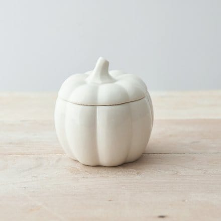 Rosefields White Ceramic Pumpkin Pot