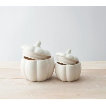 Rosefields White Ceramic Pumpkin Pot