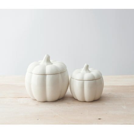 Rosefields White Ceramic Pumpkin Pot