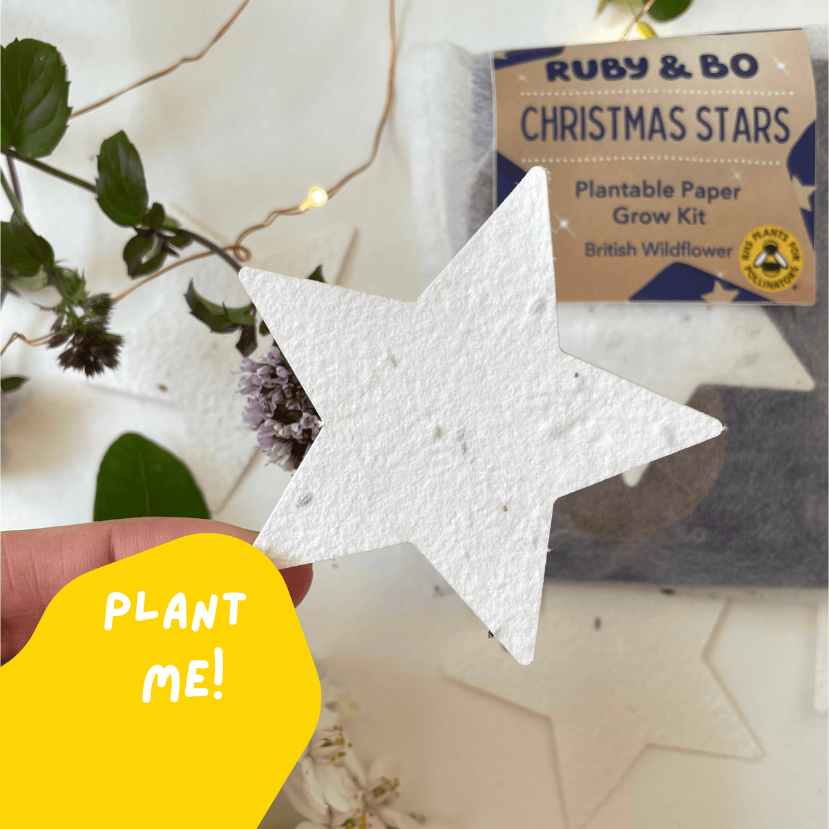 Ruby & Bo Christmas Star Plantable Paper Grow Kit