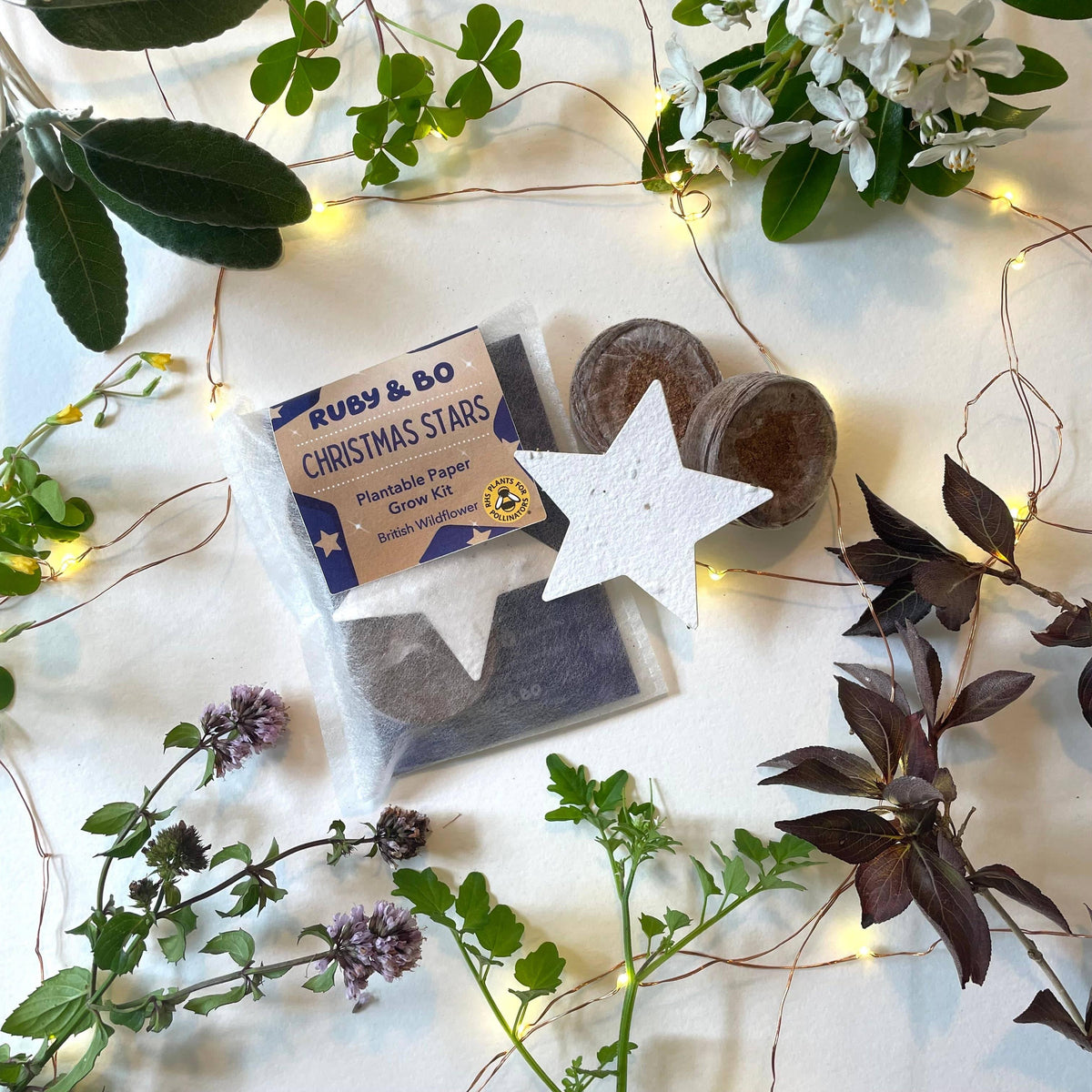 Ruby & Bo Christmas Star Plantable Paper Grow Kit
