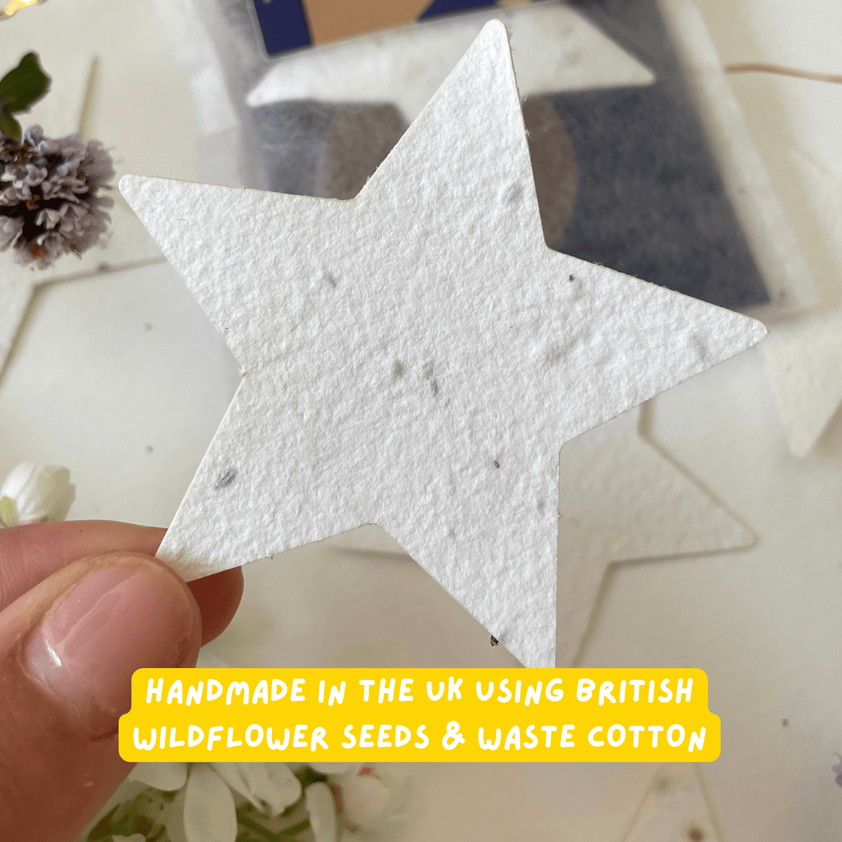 Ruby & Bo Christmas Star Plantable Paper Grow Kit