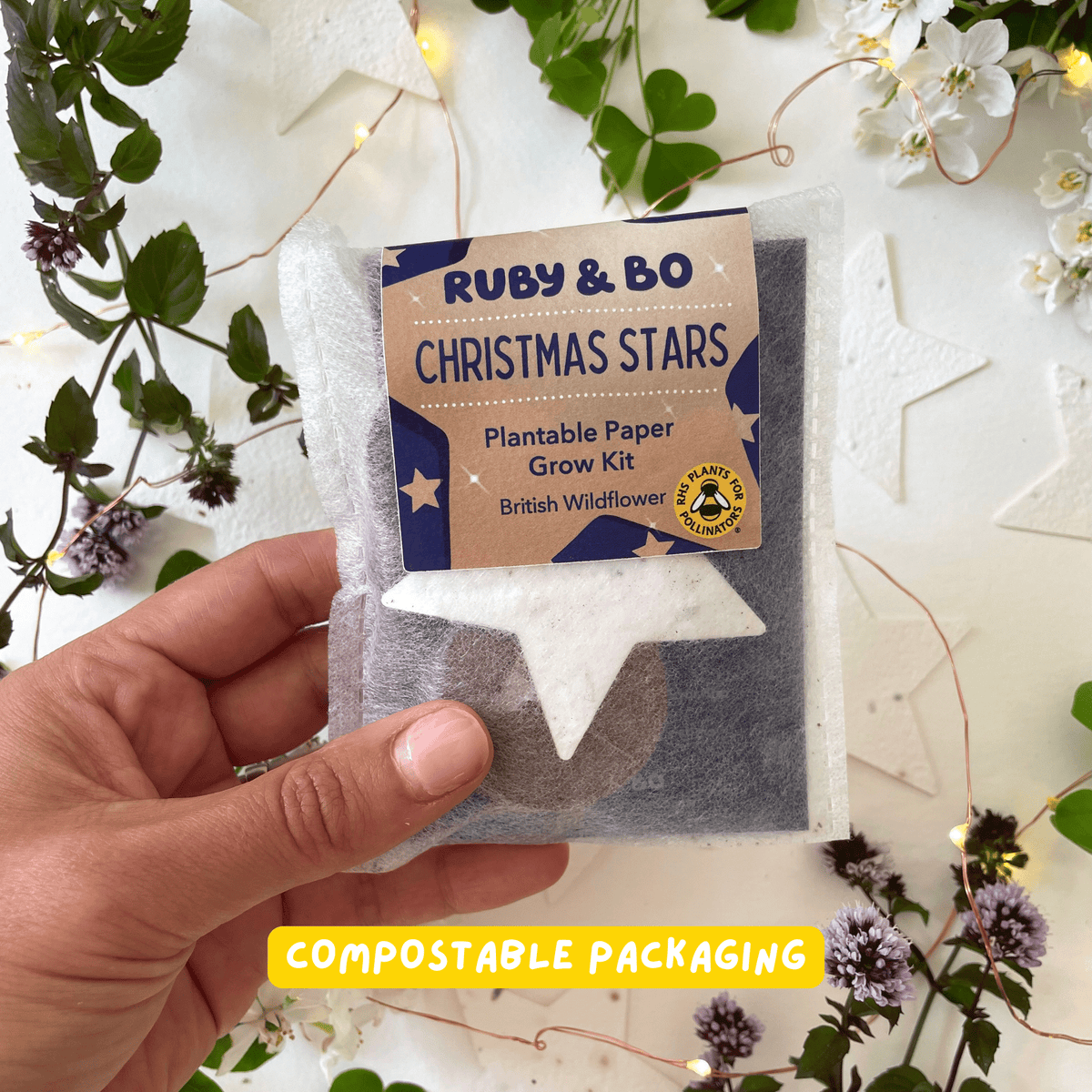 Ruby & Bo Christmas Star Plantable Paper Grow Kit