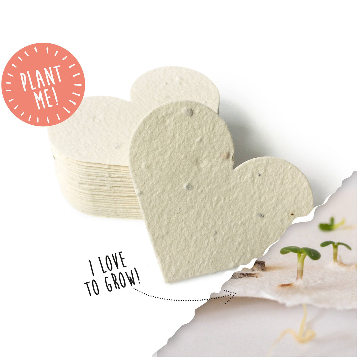 Ruby & Bo Grow The Love Plantable Hearts