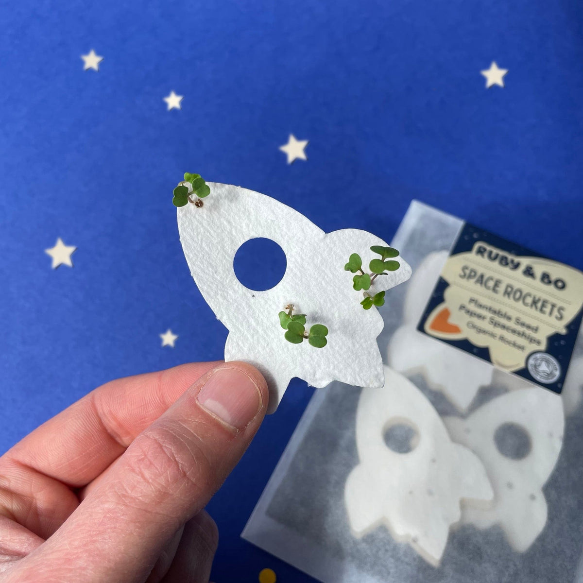 Ruby & Bo Space Rocket Plantable Spaceships