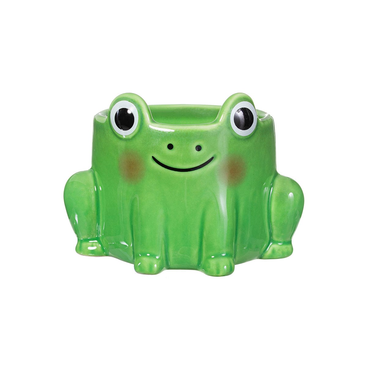 Sass & Belle Frog Mini Planter