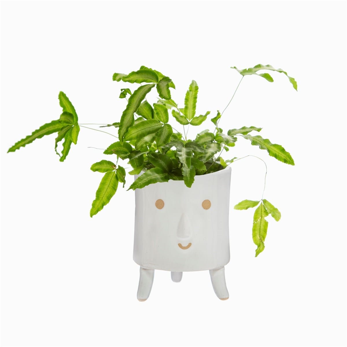 Sass & Belle Large Smiley Face Glaze Leggy Planter