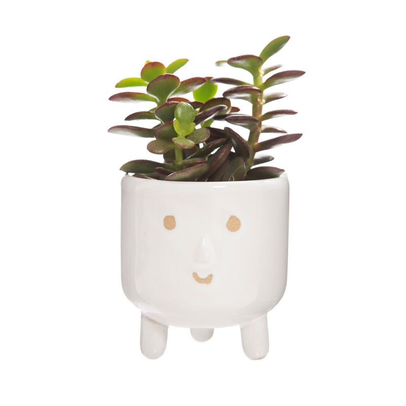 Sass & Belle Little Smiley Face Glaze Leggy Planter