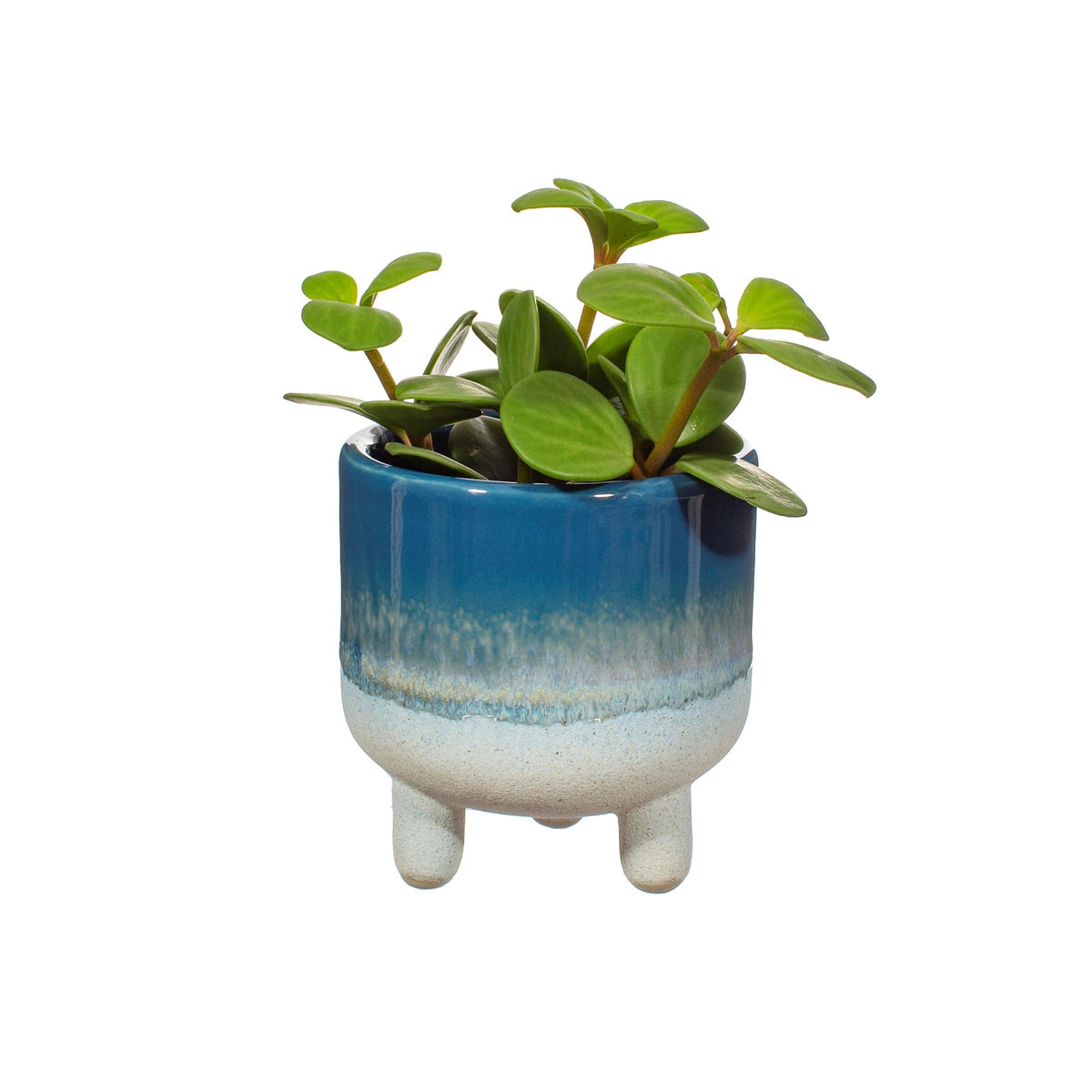 Sass & Belle Mojave Glaze Blue Mini Planter