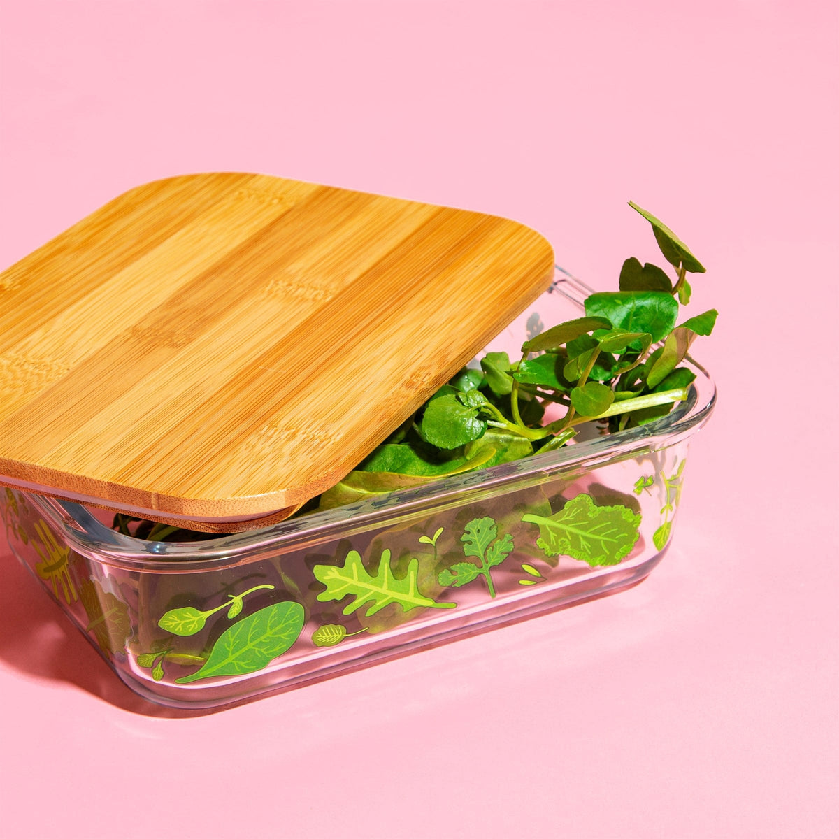 Sass & Belle Powered by Plants Glass Storage Box