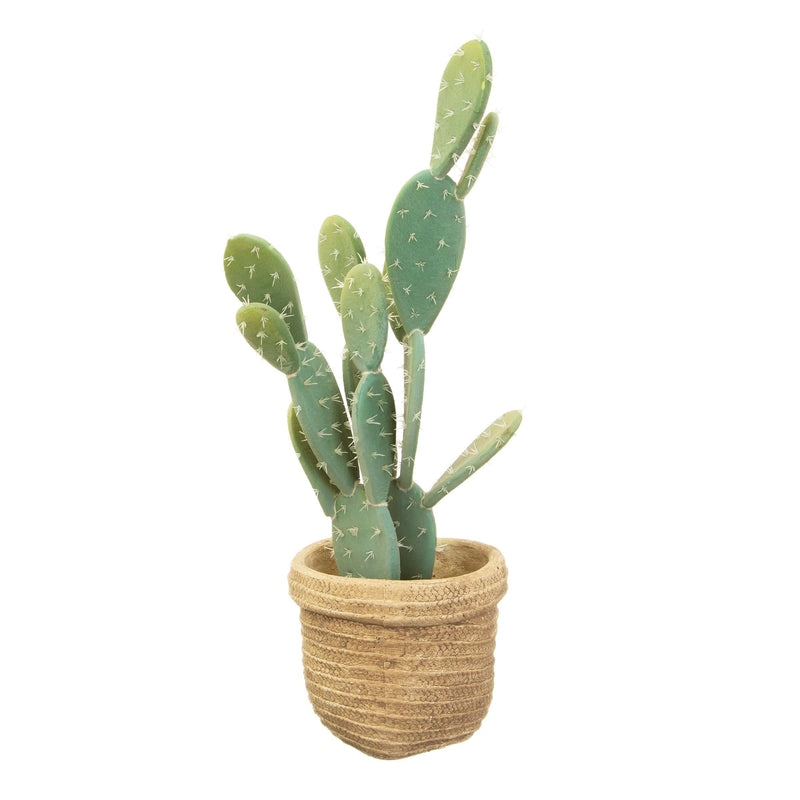 Sass & Belle Sierra Cement Basket Planter
